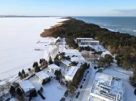 Interferie Dąbki SU Argentyt