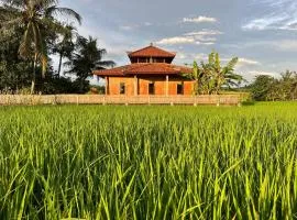 Cacao Bamboo House