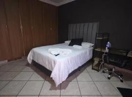 The Good Samaritan 3