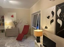 Cozy panoramic studio monolocale