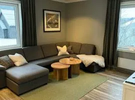 Large apartment, in the middle of Gol city center!