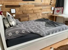 Studio Chalet with terrace & Matterhorn view