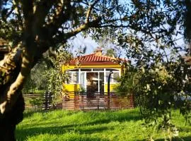 Quinta Ivonne