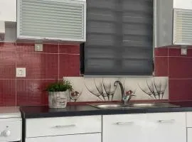 Αγριελια village