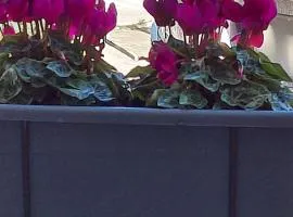 La Terrazza Apartment