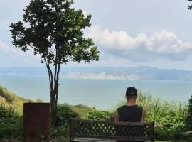 Little Turanga Heights