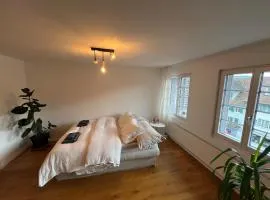 Central boutique apartment in Sempach's old town