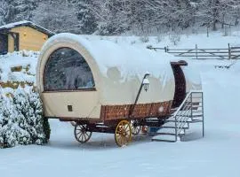 Nomad by Hora cu Brazi