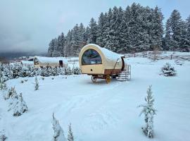 Nomad by Hora cu Brazi，位于泽尔内什蒂的山林小屋