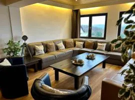 The Great View Sauna & more