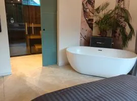 Huize Triangel - Wellness studio met sauna