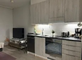 Modern City Apartment nearby Airport 2