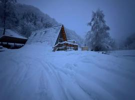 Chalet Carolina，位于Padeş的木屋