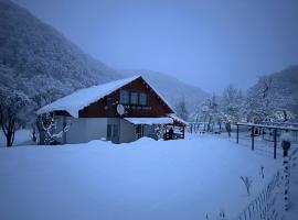 Cabana lui Foardă，位于Motru Sec的酒店