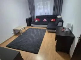 ARTIFICII București