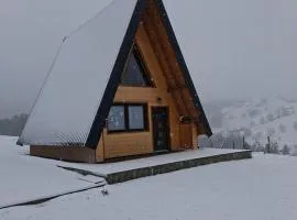 Planinska kuća, Brvnara-Škodrić - Šljivovica, Zlatibor