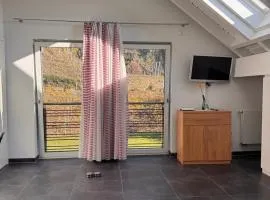 Gemütliche Ferienwohnung in Hammerstein am Rhein