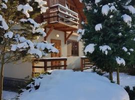 Cabana dintre Brazi，位于Mintia的酒店