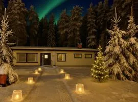 Winterwonderland Privat Villa with Sauna and big yard