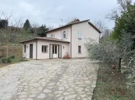 Villa Montepulciano 300sq - Vineyard View