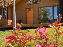 Altos del Sollipulli