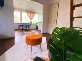 Sapanca Balkaya Bungalov Dağ evi