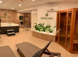 Plaza Hotel Gyula，位于久洛的带热水浴缸的酒店