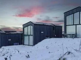 Scandi Micro House