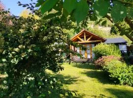 Cabaña Carretera Austral