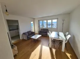 Panoramic view in quiet but central place just 20 minutes from Zurich HB - Address is Langsamstig 13 and not 10