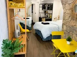 Art Apartments Leiria Historic House