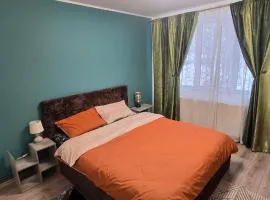 Apartament Central