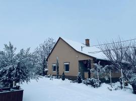 Arany Vendégház，位于索尔沃什的酒店