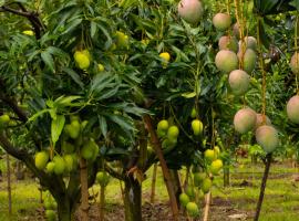 Eagleview Farmstay，位于Bugesera的酒店