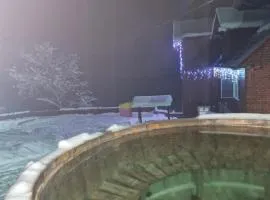 Pensiunea Cabana Viselor ,Apuseni