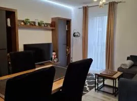 Kameralny Apartament z Balkonem
