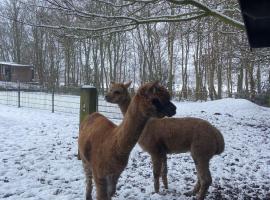 Grutsk op 12，位于德拉赫滕的酒店