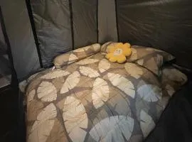 Stay Like a Local เต็นท์บ้านเรา