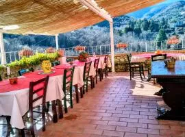 德尔帕帕农家乐