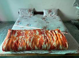 Krishna guest house，位于Sāmbhar的酒店