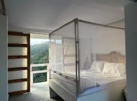 El Templo- Jungle Mirador