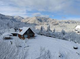 Shemoqmedi chalet，位于Zemo Makvanetʼi的乡村别墅