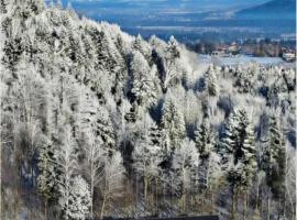 Widokowo - Domki z widokiem na Śnieżkę z Jacuzzi i Sauną，位于卡尔帕奇的酒店