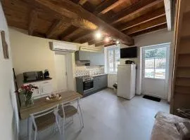 Maison avec terrasse et jardin