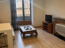 Bel appartement T2 moderne avec balcon et internet