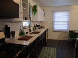 Big Group Getaway House Near Chicago