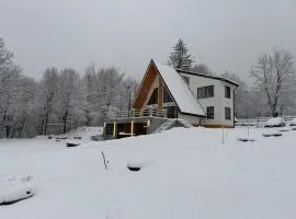 A-frame Sofis House Valea Doftanei