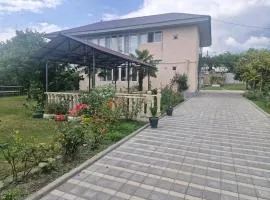 Old styled Big house in Nature