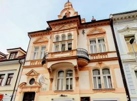 Downtown Bratislava B&B，位于布拉迪斯拉发的酒店