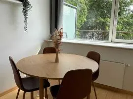 PENDING Queen Bedroom with Balcony in Shared Apartment